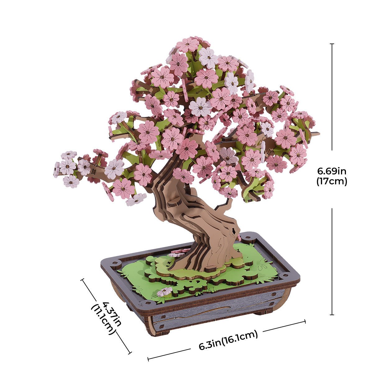 Gbpcolecciones-Robotime-Miniatura-Sakura-Bonsai-de-Madera-Armable-Rolife-TG415-Medidas-2