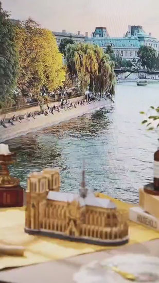 Video Paris Cathedral Oficial