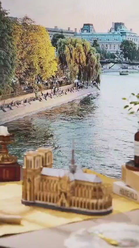 Video Paris Cathedral Oficial