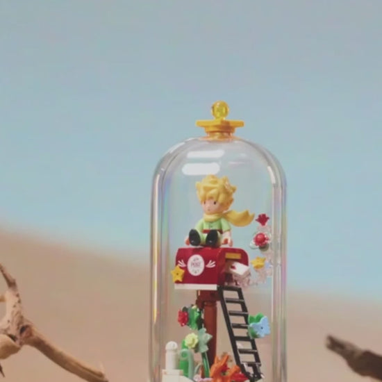 El Principito Modelos Con Cúpula